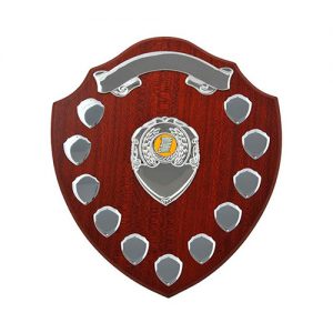 12 inch 30cm Wooden Laminated Shield with 11 Record Shields and Free Engraving