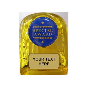 YP4 Yellow 5 Inch Acrylic Plaque