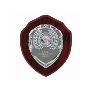Top Quality Laminated 5 inch (13cm) Chrome-Fronted Wooden Shield