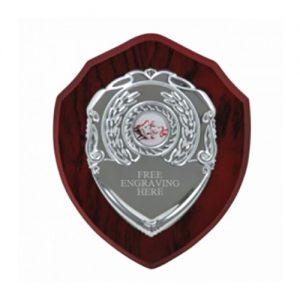 Top Quality Laminated 6 inch (15cm) Chrome-Fronted Wooden Shield