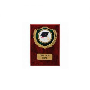 Laminated Wooden Plaques 4 inch (10cm)