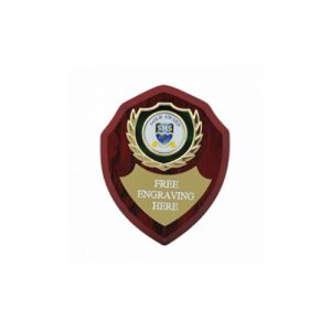 Top Quality Laminated 4 inch (10cm) Wooden Shield