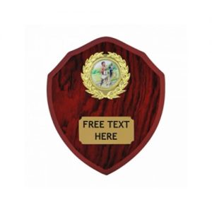 Top Quality Laminated 5 inch (13cm) Wooden Shield