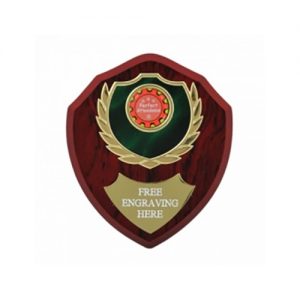 Top Quality Laminated 5 inch (13cm) Wooden Shield