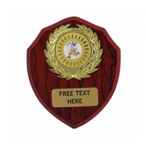 Top Quality Laminated 6 inch (15cm) Wooden Shield