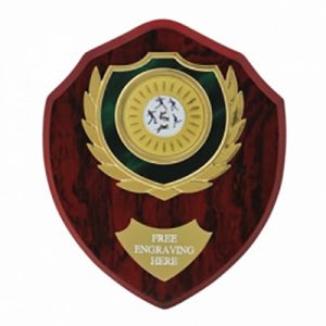 Top Quality Laminated 7 inch (17cm) Wooden Shield