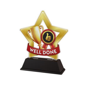 Well Done Acrylic Trophy 13cm Complete With Engraved Plaque