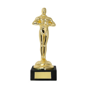 Pack 12 Achievement Award Trophy 16cm Complete With Engraved Plaque