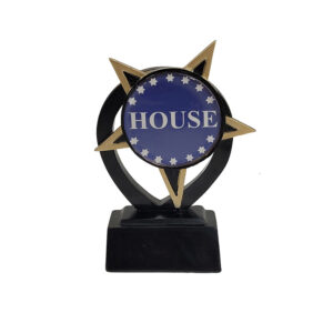 Pack 12 Resin Star Award 12cm Complete With House Colour Centre And Engraved Plaque