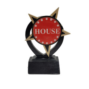 Pack 12 Resin Star Award 12cm Complete With House Colour Centre And Engraved Plaque