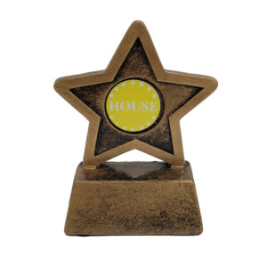 Pack 12 Resin Star Award 9cm Complete With House Colour Centre And Engraved Plaque