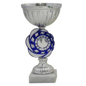Silver Cup With House Colour Detail 19cm Complete With Engraved Plaque And House Centre - Order 10+ Trophies And Add Your Own Logo