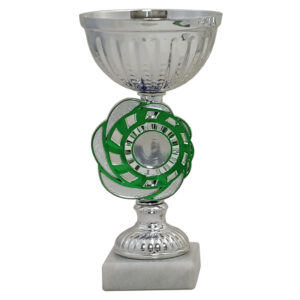 Silver Cup With House Colour Detail 19cm Complete With Engraved Plaque And House Centre - Order 10+ Trophies And Add Your Own Logo